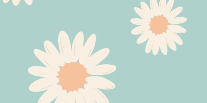 736x1307 Really Cute Preppy Aesthetic Wallpapers