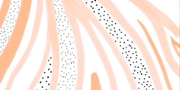 736x1074 iPad Preppy Wallpapers