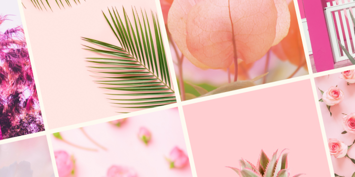 1000x1500 50+ Pink Preppy Wallpaper for iPhone