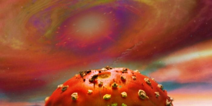 1080x1920 100+] Dreamcore Wallpapers | Wallpapers.com