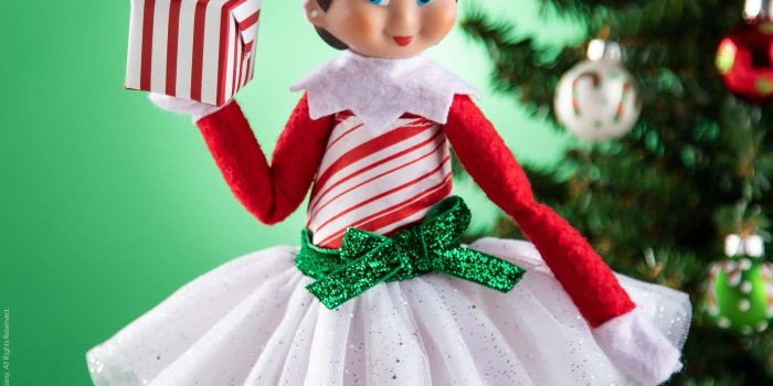 1920x1920 100+] Elf On The Shelf Picture