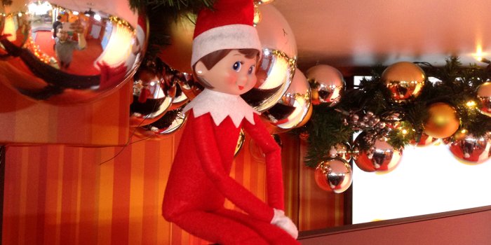 1280x960 Shelf' making herself at home in Studio 1A