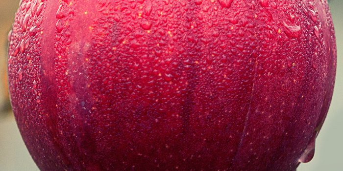 1080x1920 Apple Fruit Wallpaper for Phone