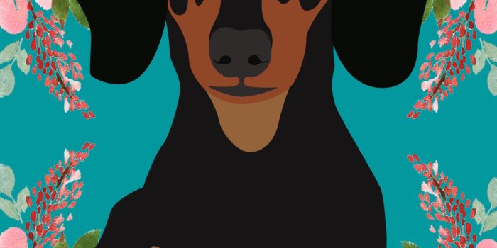 1080x1920 Dachshund and Floral Themed Phone or