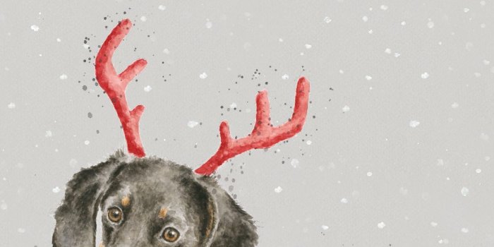 1080x1920 Dachshund Christmas Phone Wallpaper