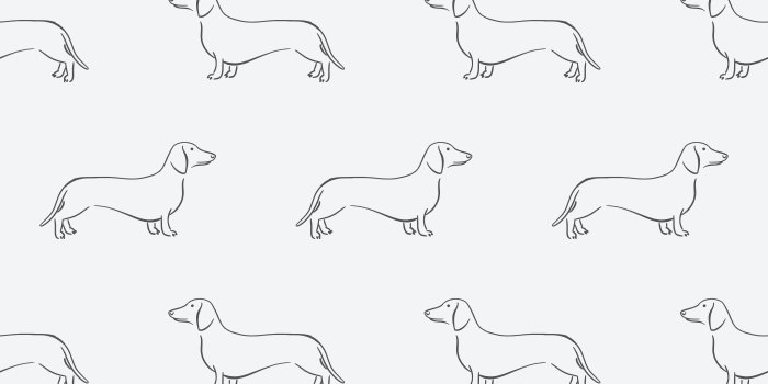 1400x1400 Little Dachshund Peel and Stick