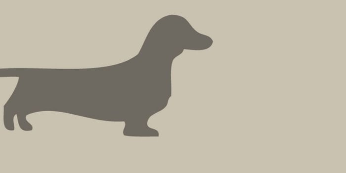 1080x1920 Animal Minimalist Wallpapers