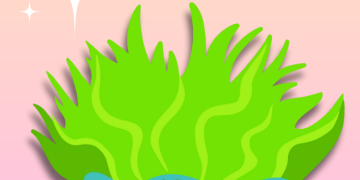 720x1560 Some free to use lockscreen wallpapers