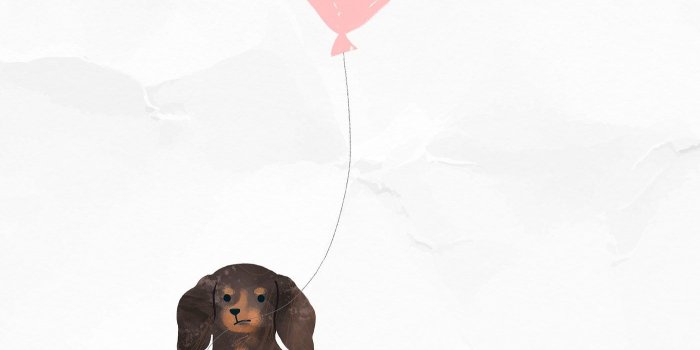 1400x2489 Dachshund drawing, Dachshund art