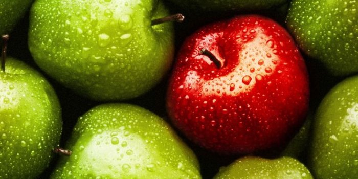 736x1308 iPhone Wallpaper Background