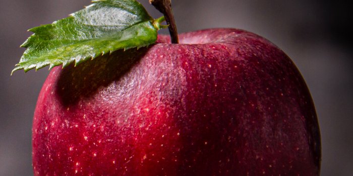 2000x3556 HD Wallpapers on X: 