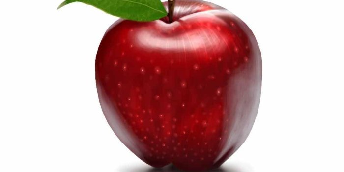 1024x768 Red Apple Fruit Wallpapers