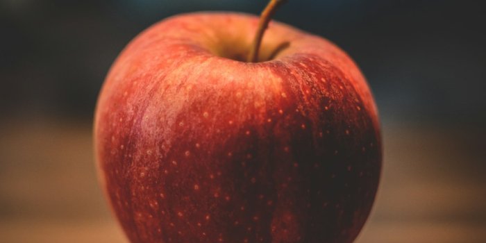 1000x1510 Apfel Pictures | Download Free Images