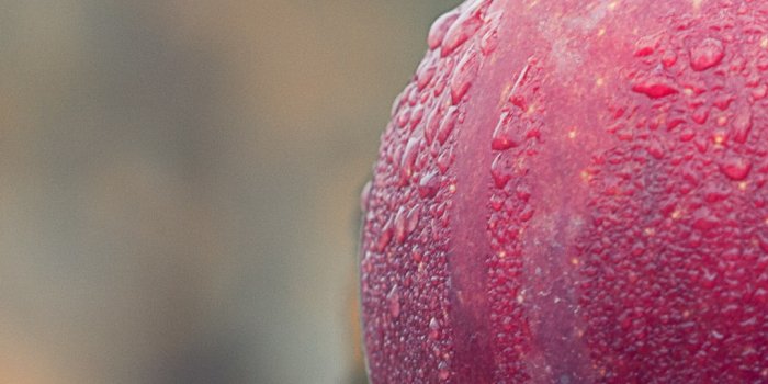 1080x1920 Fresh and sweet apple fruit 1080x1920