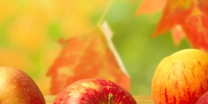 1080x1920 1700+] Fruits Pictures | Wallpapers.com