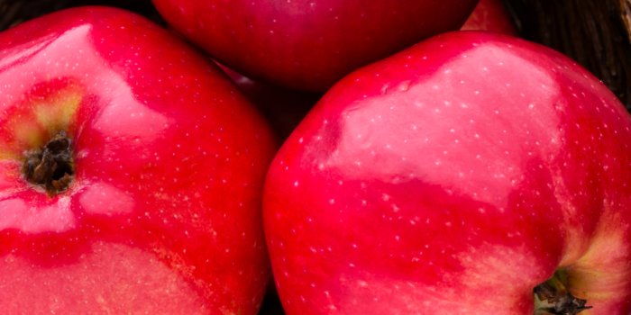 1440x3040 Apple Phone Wallpaper