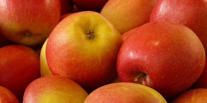 2448x3264 Fruits Phone Wallpapers