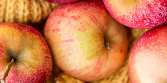 1200x1798 How to Store Apples - Know Your Produce