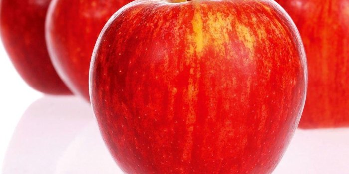 1024x768 Red Apple Fruit Wallpapers