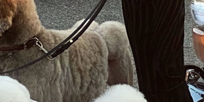 887x1920 FCKWALLPAPERS