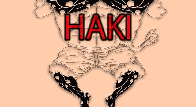 640x1385 Gear 4 Luffy Wallpaper Custom EN/JP : r