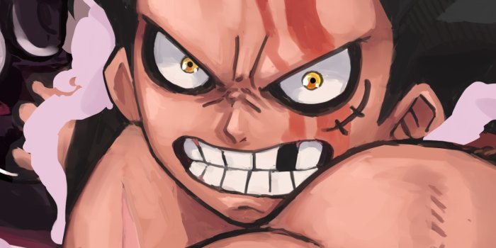 1440x2960 HD desktop wallpaper: Anime, One Piece