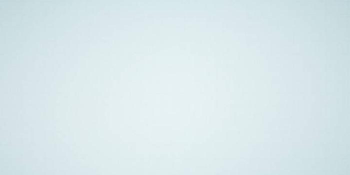 720x1280 Monkeys funny, Funny wallpaper, Funny