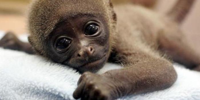 1400x1050 My blog on air