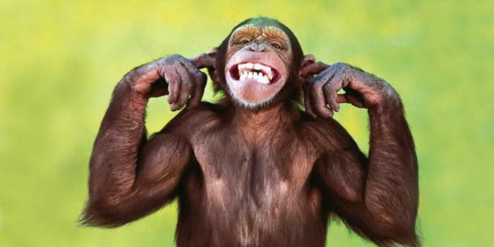 1280x720 Picture this: You're on top of the