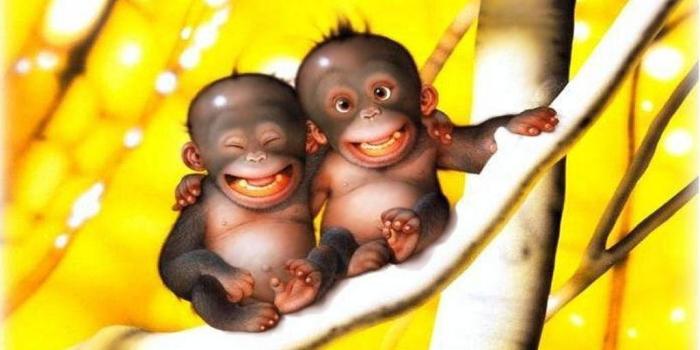 1024x768 Cute Monkey Wallpapers