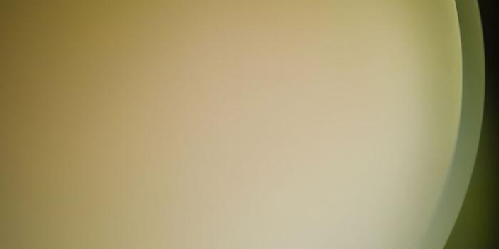 736x1577 Samsung Galaxy S23 Plus Wallpaper