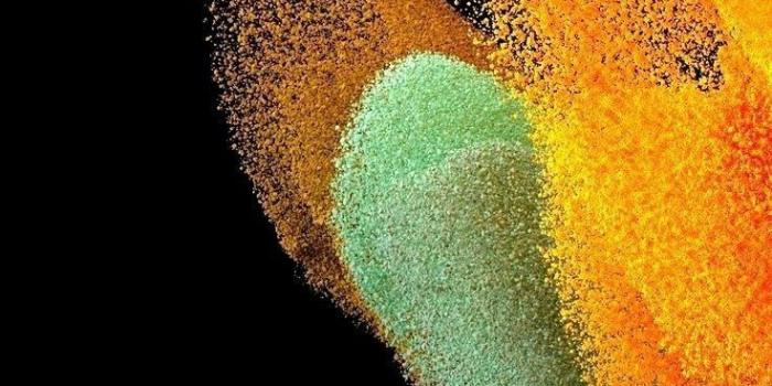 736x1634 Samsung Galaxy S23 Wallpapers