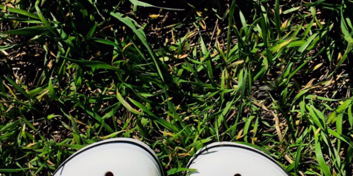 750x1334 Crocs.Wallpaper iPhone crocs,sunny day