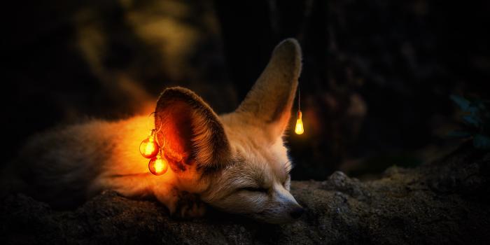 2184x1318 HD desktop wallpaper: Light Bulb