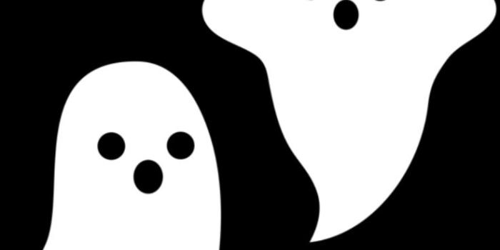 736x1309 cute #ghost #wallpaper | Halloween