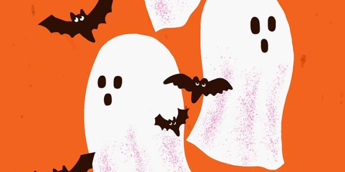 800x1422 Cute Ghost Images | Free Photos, PNG