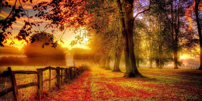 1920x1080 1000+] Autumn Wallpapers | Wallpapers.com