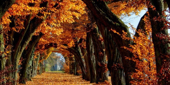 1280x1024 Fall Season Wallpaper