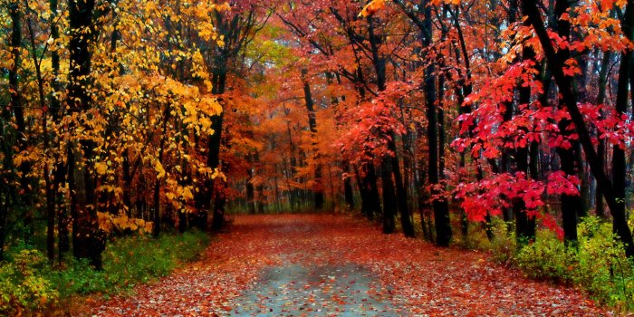 3744x2293 Autumn Season Wallpapers