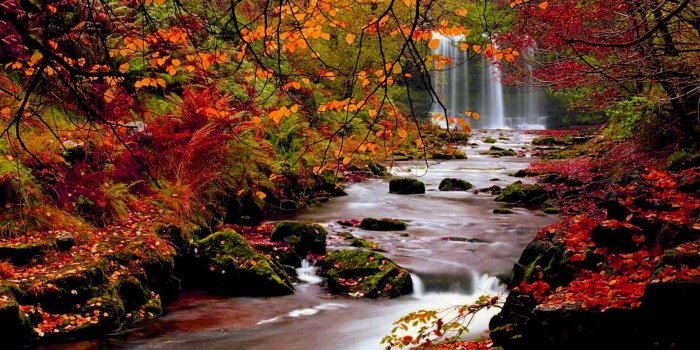 1920x1080 1000+] Autumn Wallpapers | Wallpapers.com