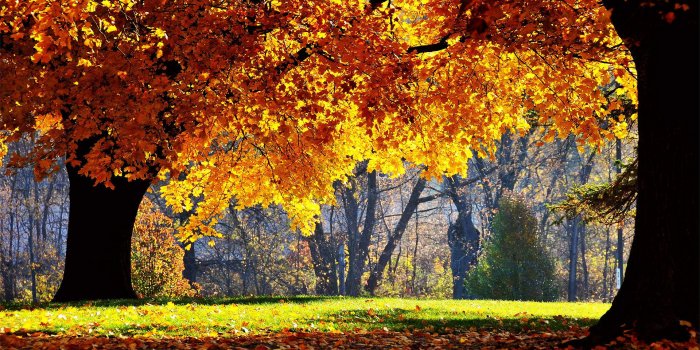 1920x1200 500+] Fall Wallpapers | Wallpapers.com