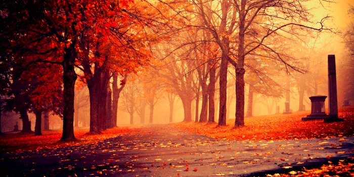 2560x1600 Autumn Nature HD Wallpapers - Wallpaper