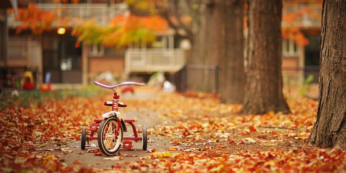 2560x1600 Fall Season Backgrounds