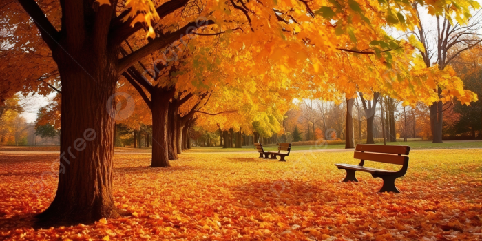 1200x673 Autumn Background, Full Hd Wallpaper