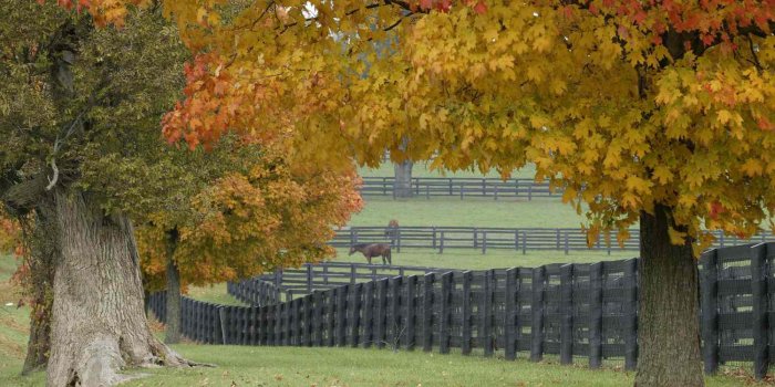 1500x844 39 Best Free Autumn Wallpapers