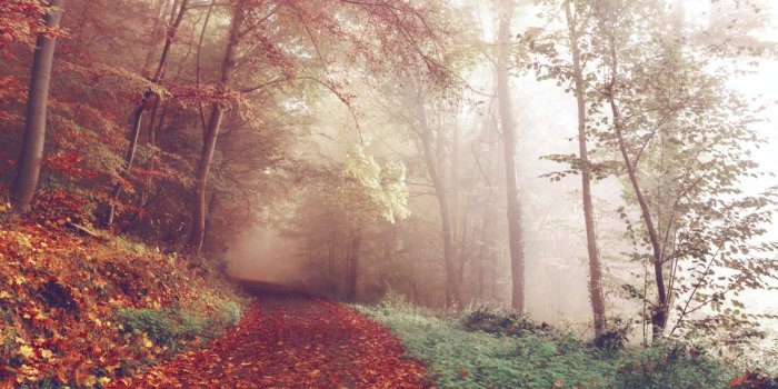 1200x702 50 Beautiful Fall Pictures and Images