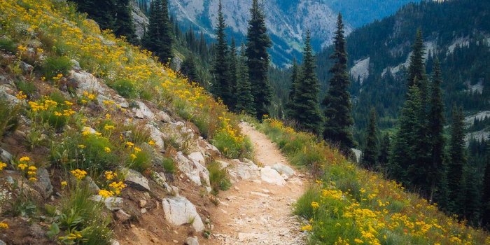 1080x1919 Landscape photography nature