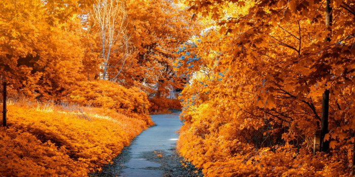 4000x6000 Autumn Wallpaper Photos, Download The