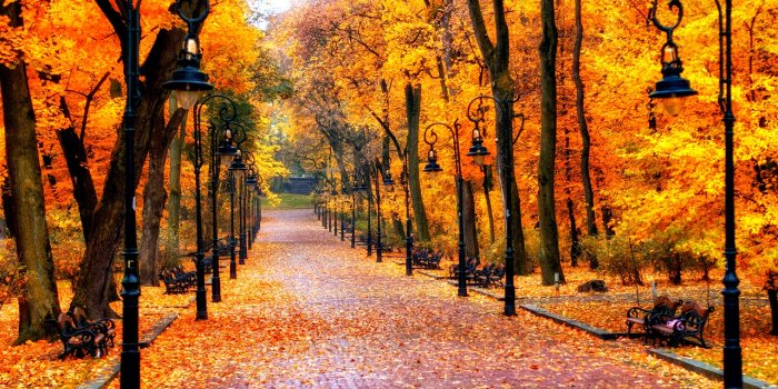 1280x800 Fall Season Wallpaper 1280x800 56206