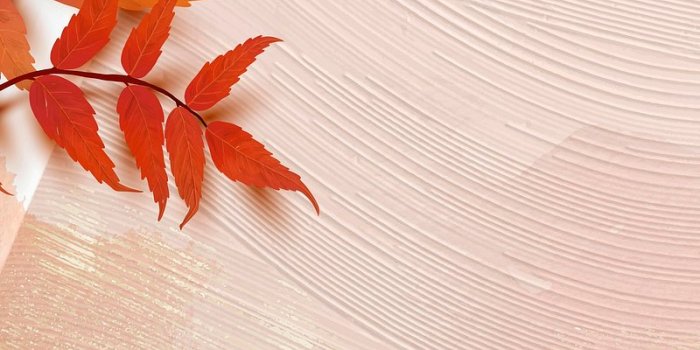 800x1131 Fall Background Images | Free iPhone